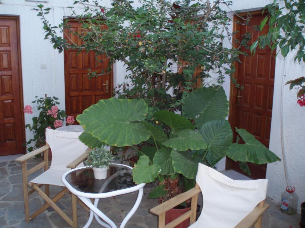Pantazis Studios Aegina Pokoj fotografie