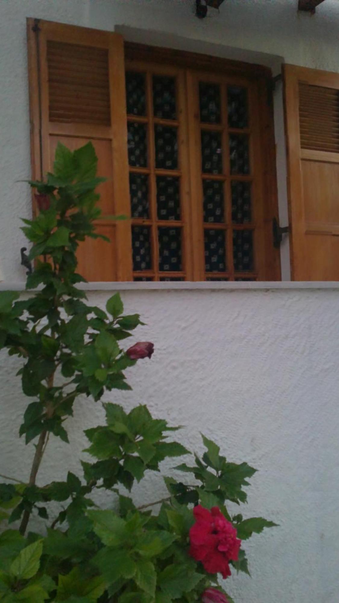 Pantazis Studios Aegina Exteriér fotografie