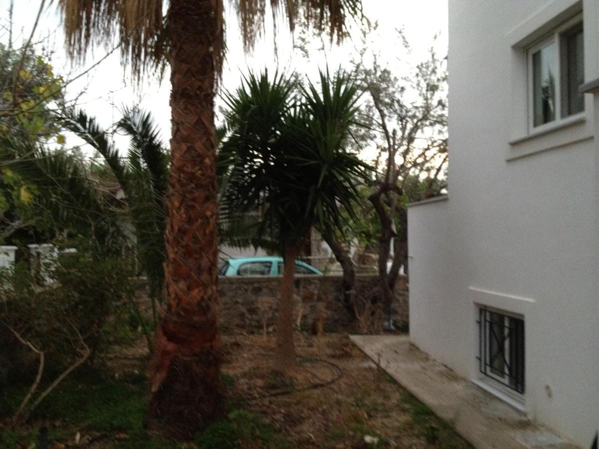 Pantazis Studios Aegina Pokoj fotografie